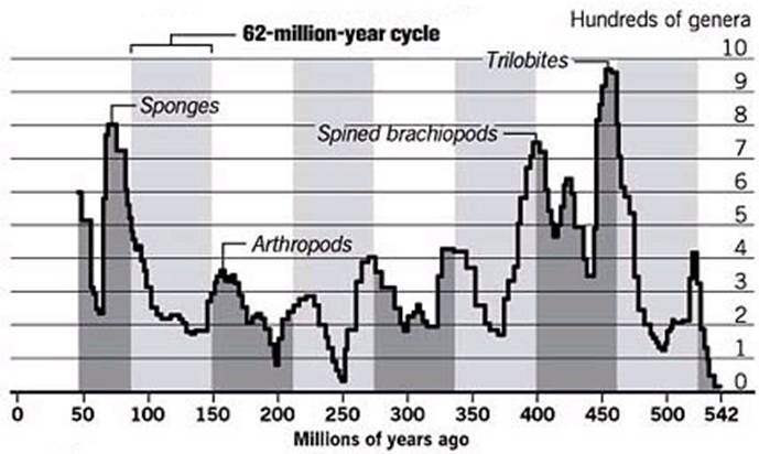 Циклы массовой гибели видов на Земле (источник: The Chronicle) 